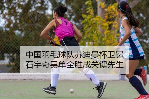 中国羽毛球队苏迪曼杯卫冕 石宇奇男单全胜成关键先生